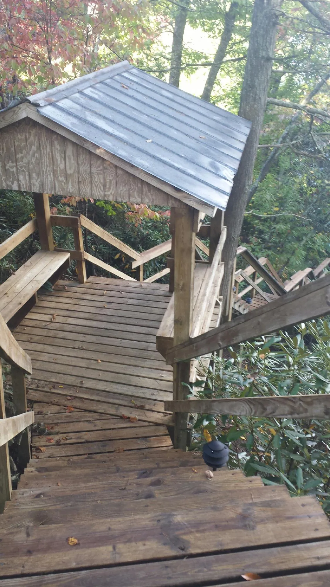 Metal roofed shelter over wooden steps on a wooded walkway — Skylight Repair & Installation work by our crew in Oregon