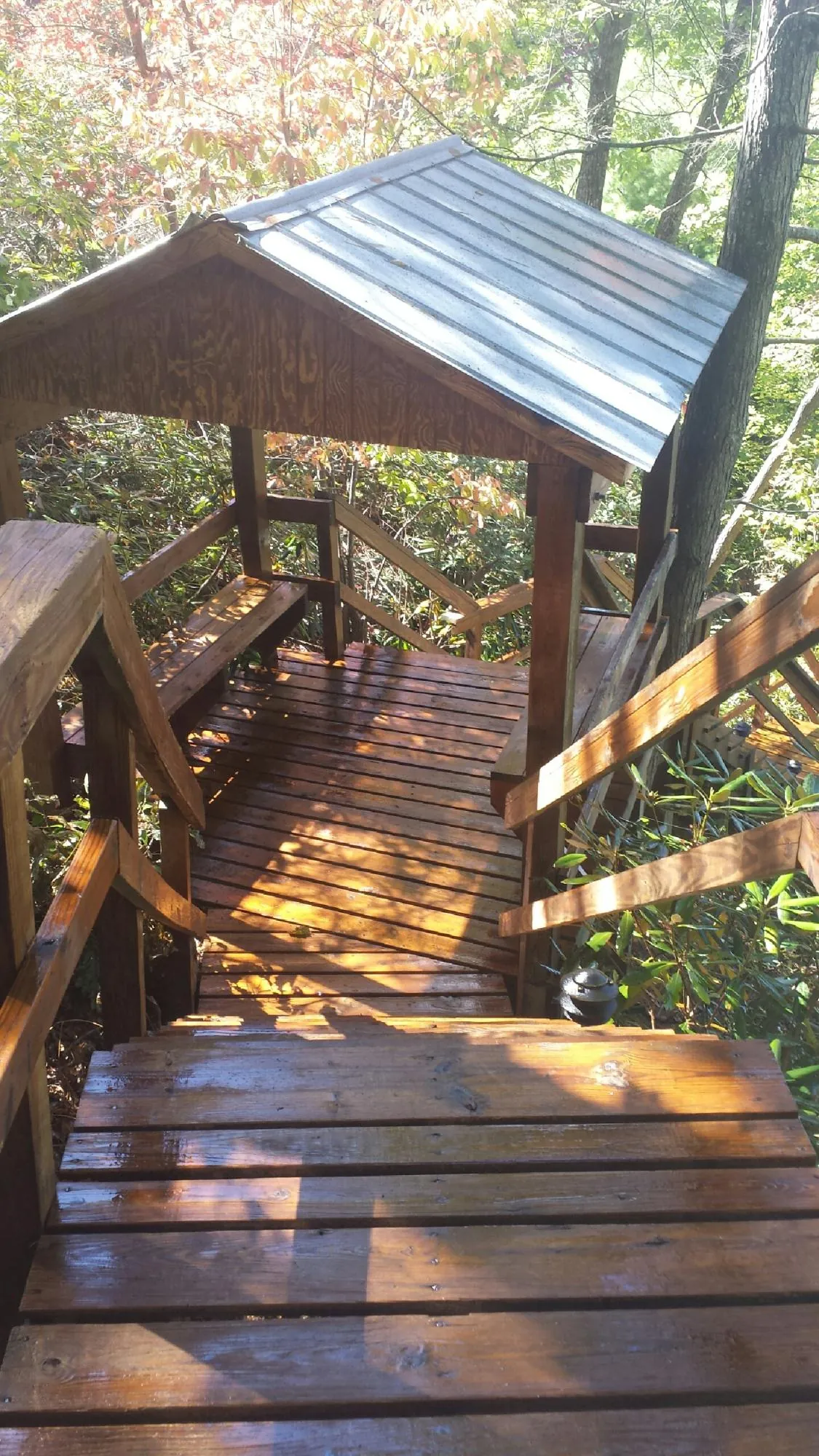 Freshly stained wood walkway and covered shelter with a metal roof in Oregon